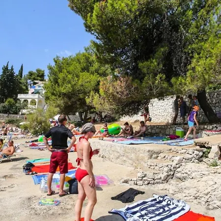 Darmy Trogir